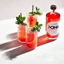 Dranken_Vandekerckhove_nona_spritz.jpg