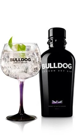 Dranken_Vandekerckhove_bulldog2.jpeg